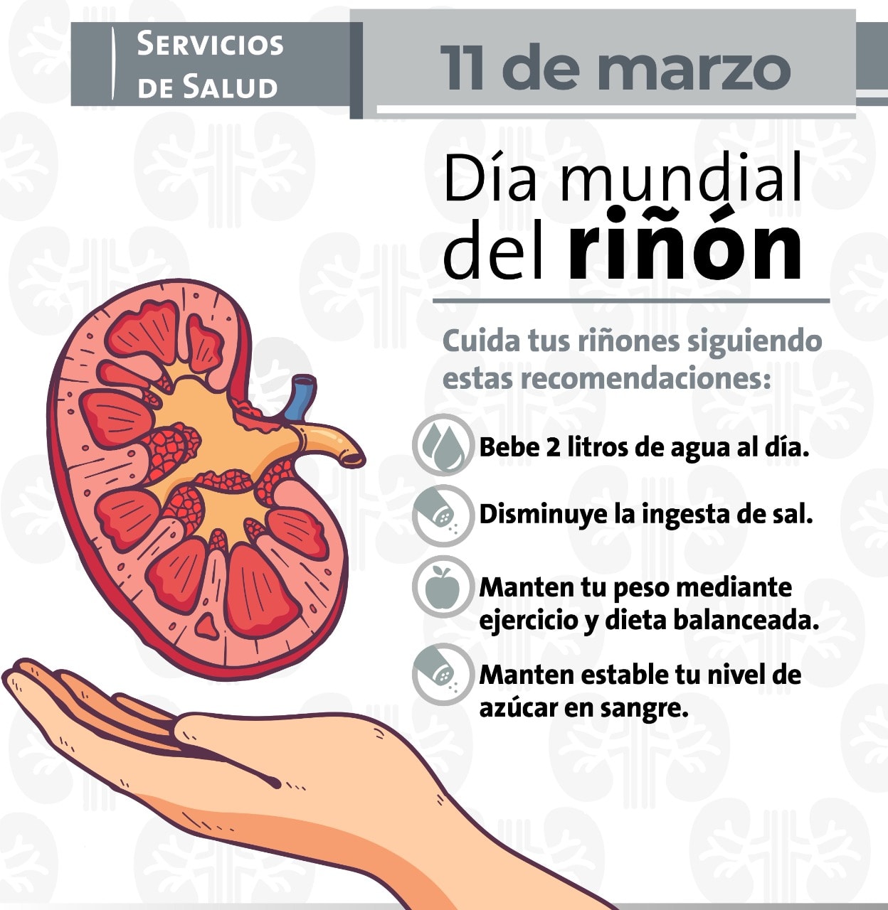 Conmemora Servicios de Salud el dia mundial del riñon